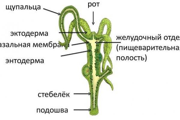 Не могу зайти на кракен