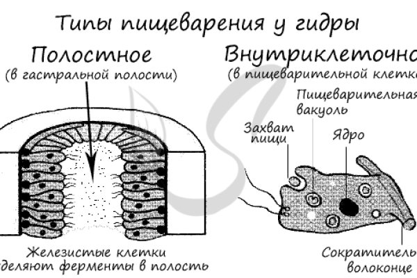 Kraken даркнет рынок ссылка