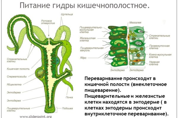 Кракен войти на сайт